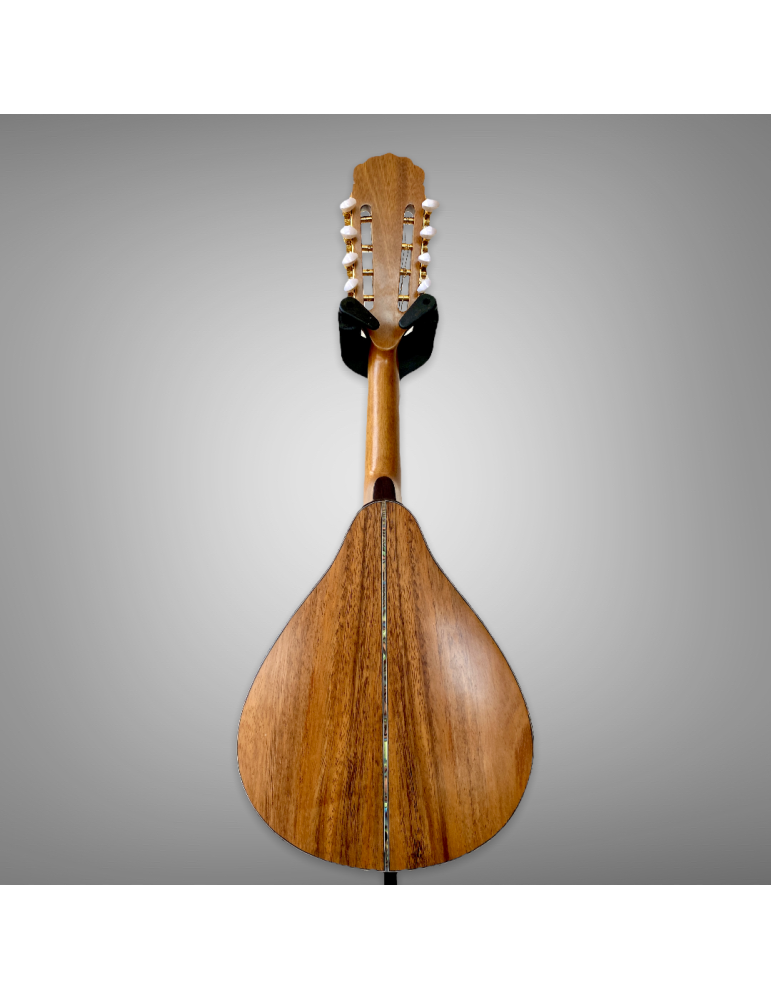 Mandolina 8 cuerdas AH - Luthart, diseño único