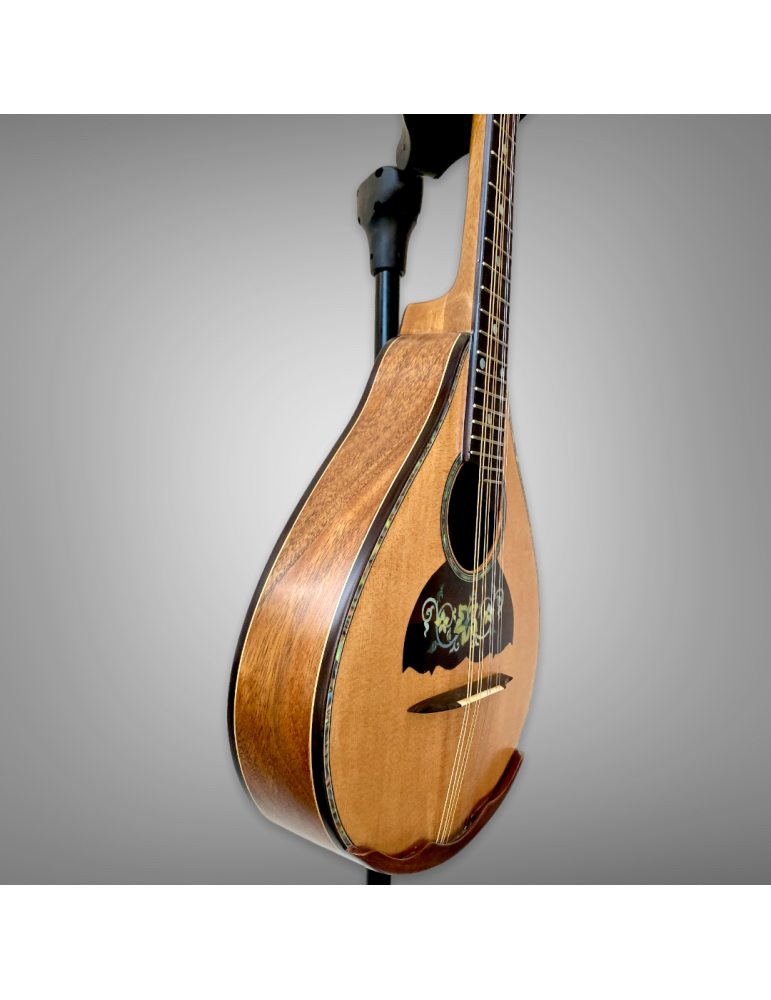 Mandolina 8 cuerdas AH - Luthart, diseño único