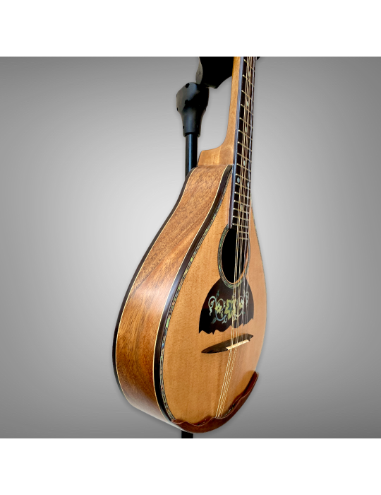 Mandolina 8 cuerdas AH - Luthart, diseño único