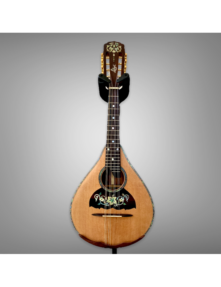 Mandolina 8 cuerdas AH - Luthart, diseño único