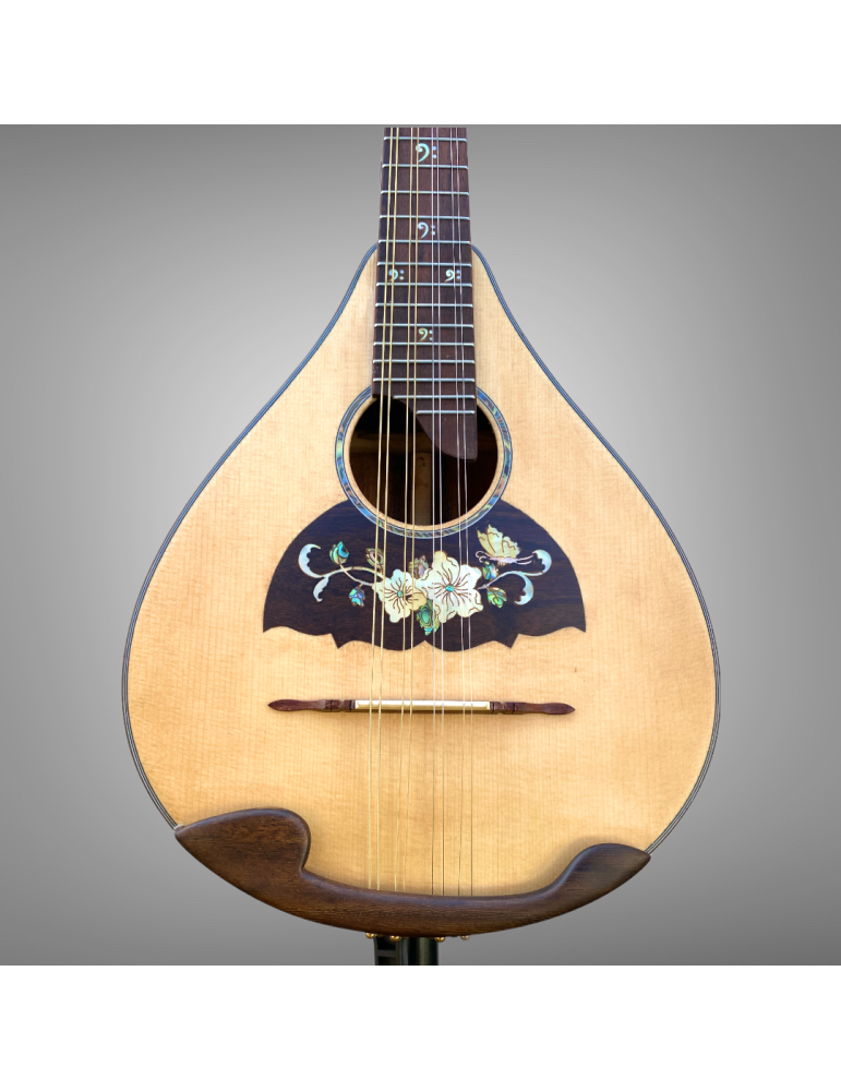 Mandolina 8 cuerdas Modelo AH con elegante diseño