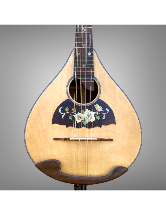 Mandolina 8 cuerdas Modelo AH con elegante diseño