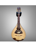 Mandolina 8 cuerdas Modelo AH con elegante diseño