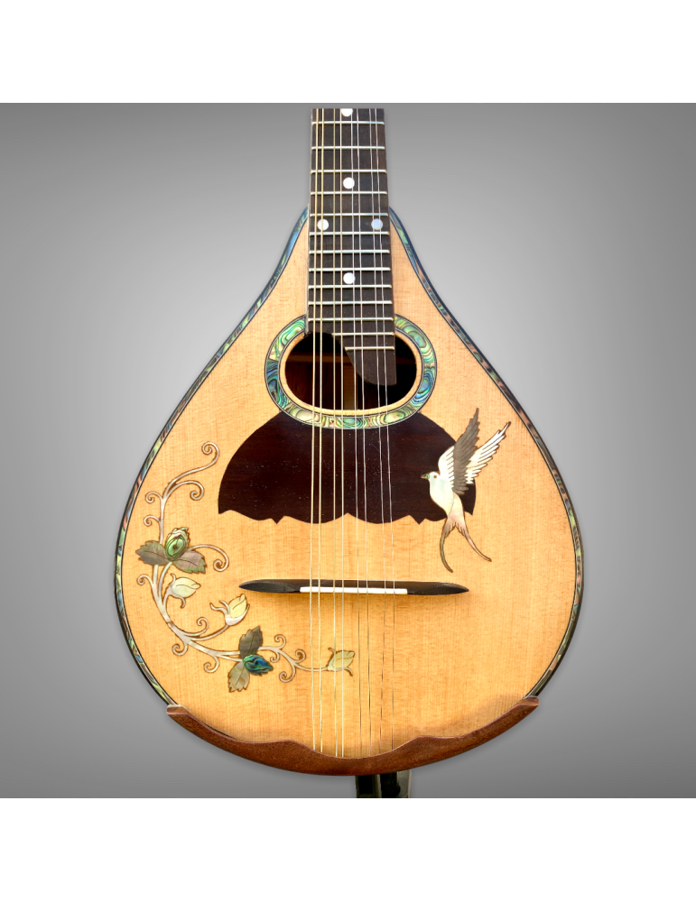 Mandolina 8 Cuerdas AH de Luthart, diseño y sonido