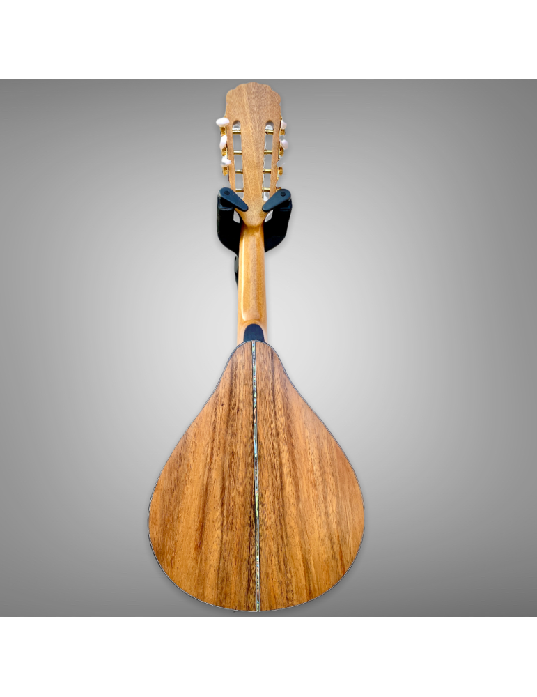 Mandolina 8 Cuerdas AH de Luthart, diseño y sonido