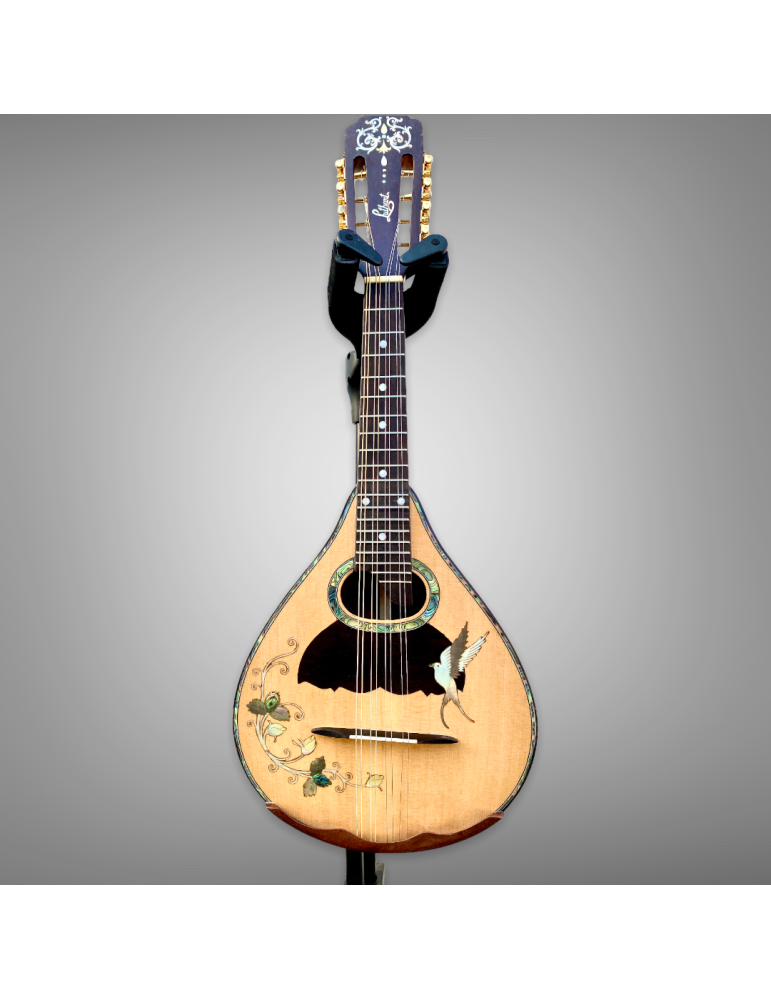 Mandolina 8 Cuerdas AH de Luthart, diseño y sonido