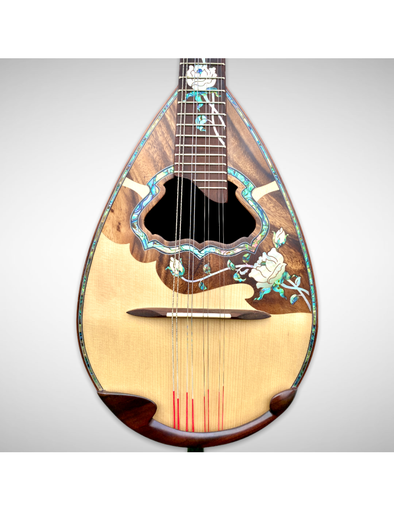 Mandolina napolitana Luthart, diseño cóncavo