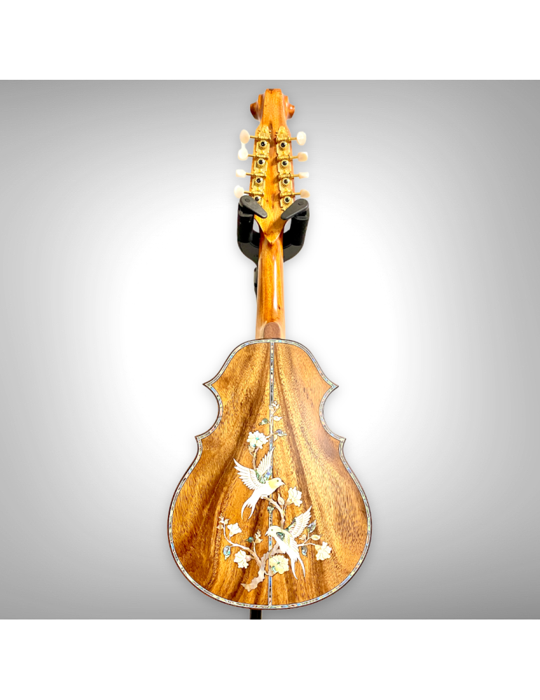 Mandolina K6, estilo elegante, sin maleta K6-011122-4