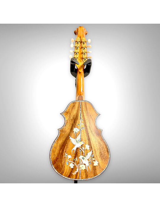 Mandolina K6, estilo elegante, sin maleta K6-011122-4