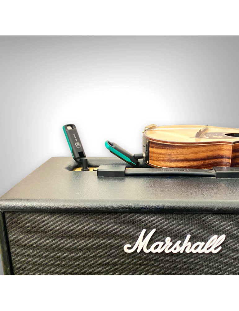 Sistema Inalámbrico para Instrumentos de Cuerda