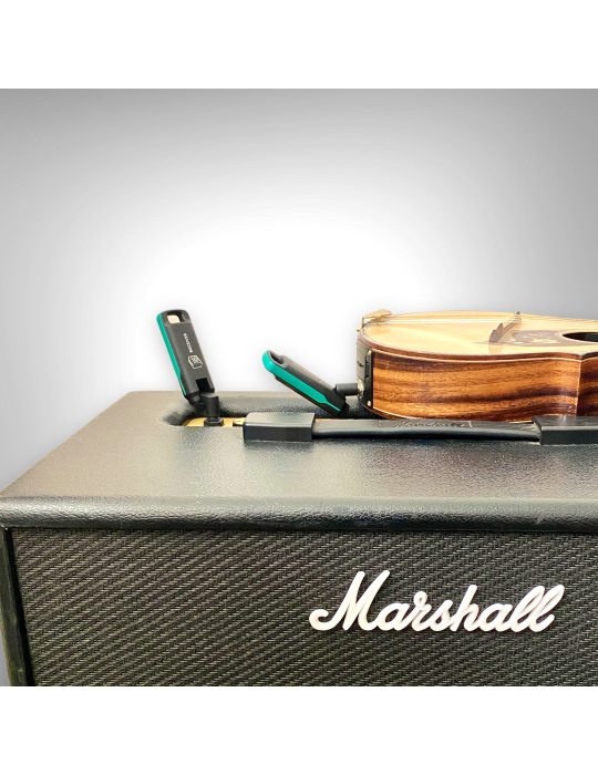Sistema Inalámbrico para Instrumentos de Cuerda