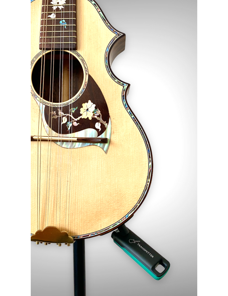 Sistema Inalámbrico para Instrumentos de Cuerda
