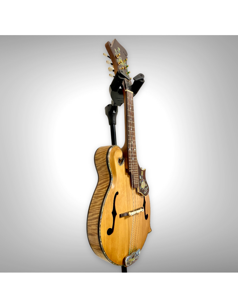 Mandolina Luthart F5: sonido brillante y arte en perla