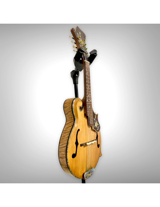 Mandolina Luthart F5: sonido brillante y arte en perla