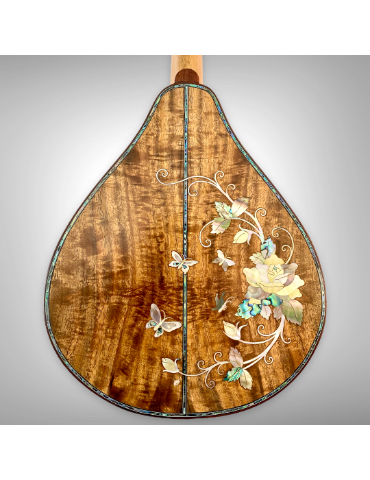 Mandolina 8 cuerdas Luthart, diseño exclusivo