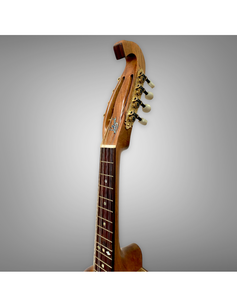 Banjo Luthart 8 cuerdas en madera