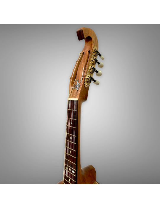 Banjo Luthart 8 cuerdas en madera