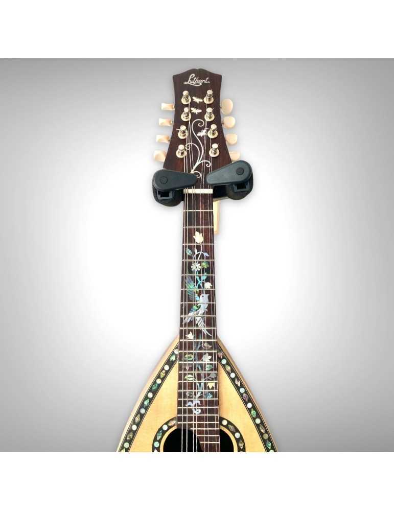 Mandolina Italiana en Black Rosewood y Spruce