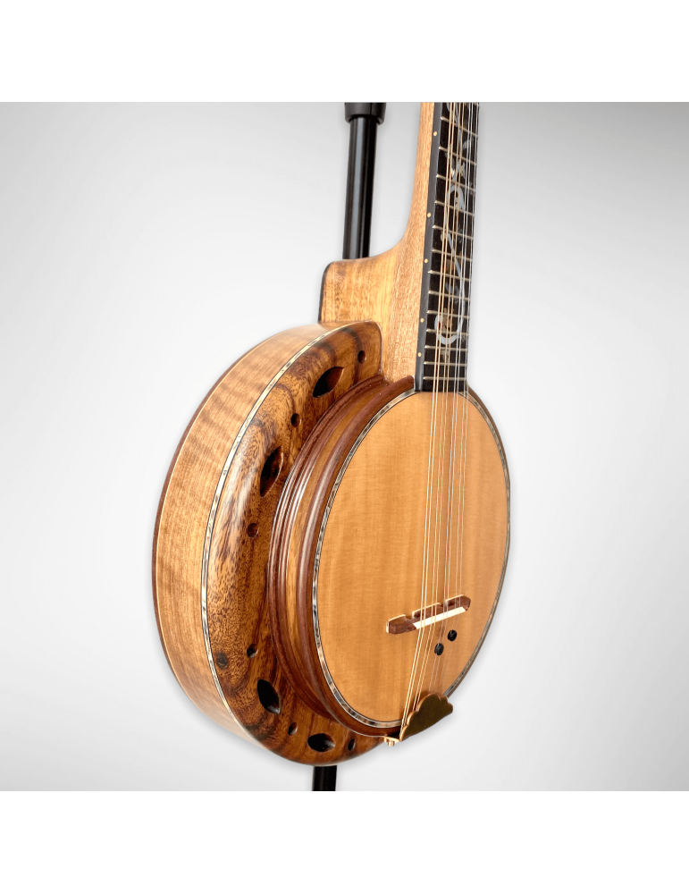Banjo Luthart BJ5 con plato 100% en madera