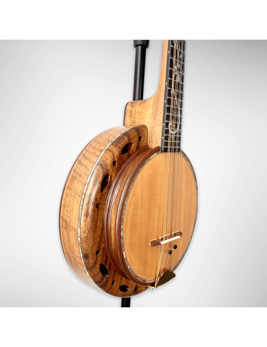 Banjo Luthart BJ5 con plato 100% en madera