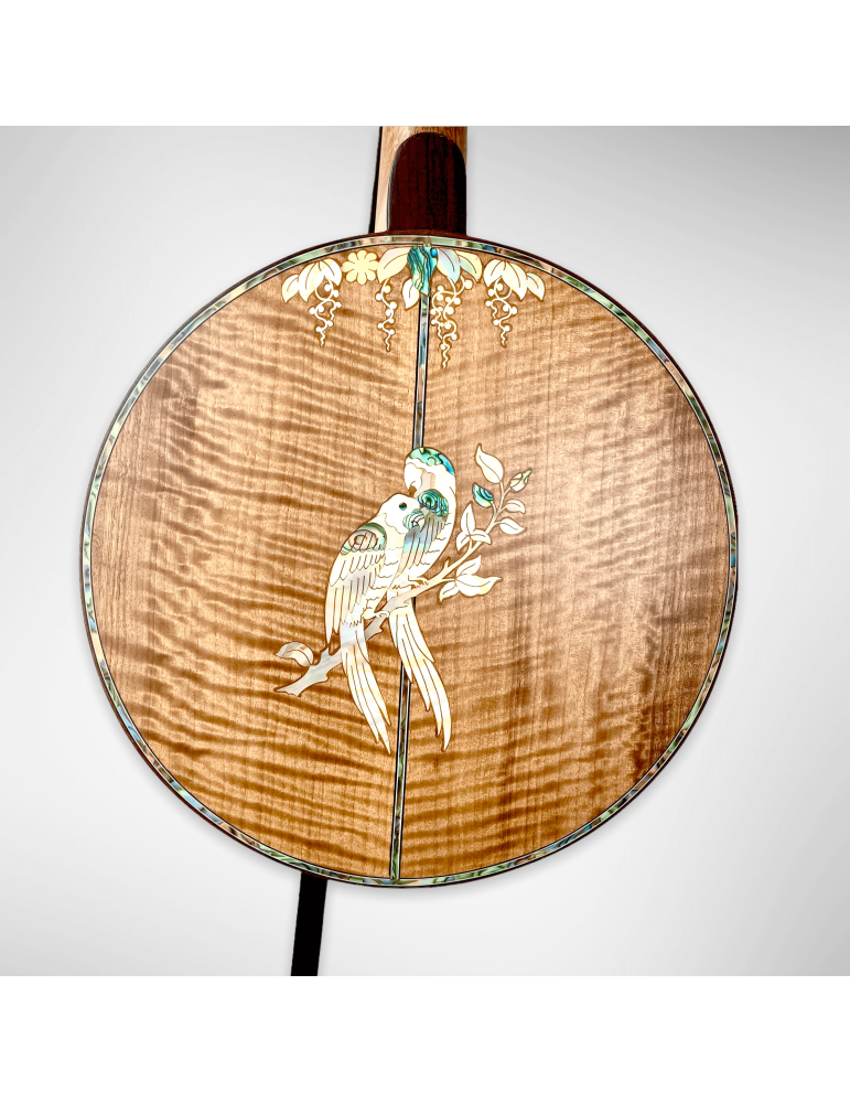Banjo Luthart BJ5 con plato 100% en madera