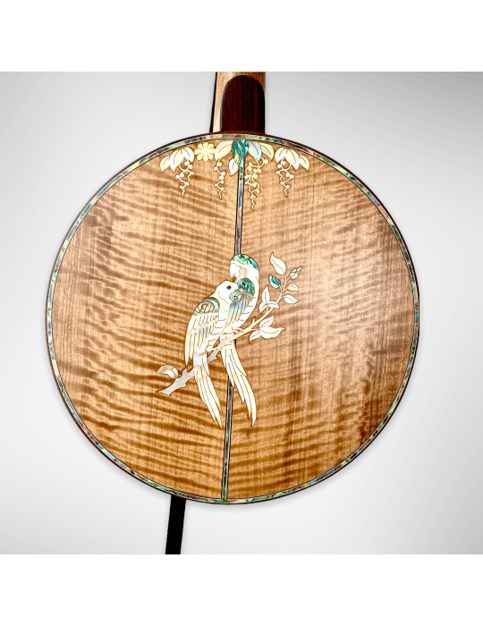 Banjo Luthart BJ5 con plato 100% en madera