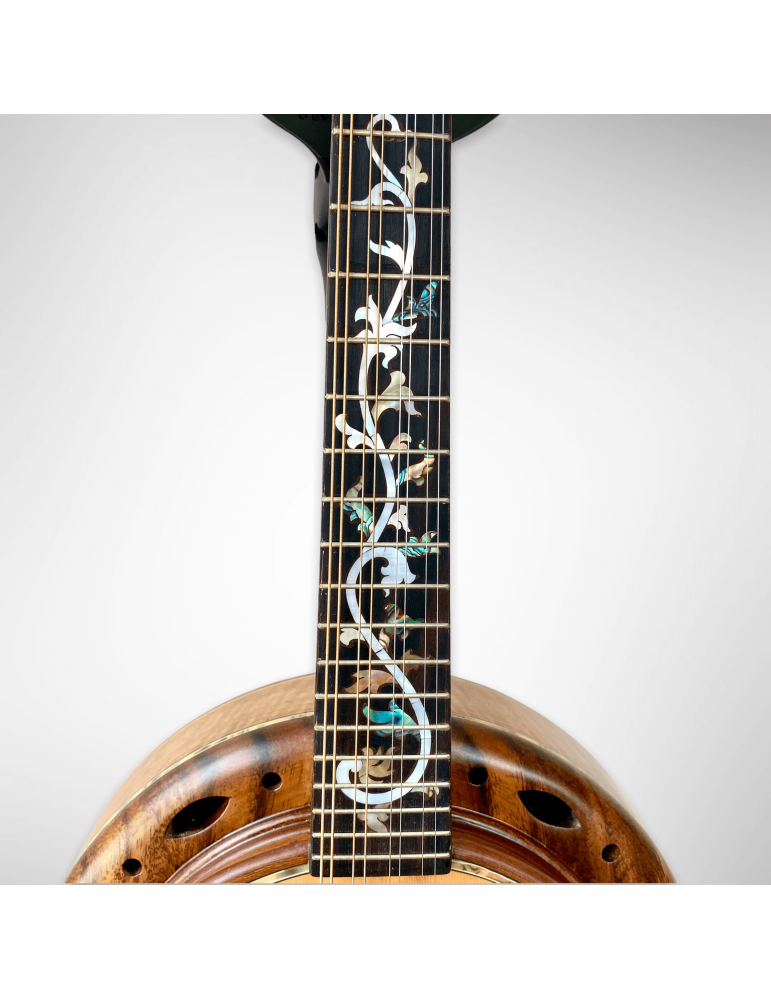 Banjo Luthart BJ5 con plato 100% en madera