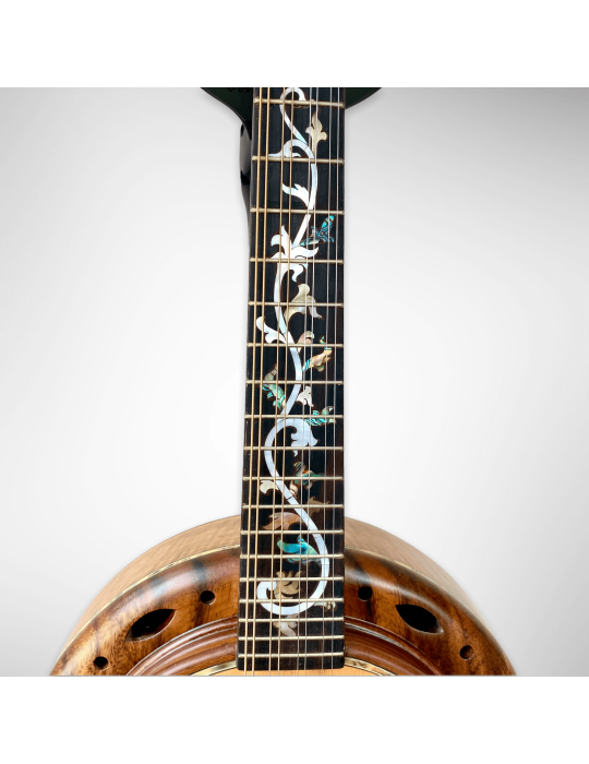 Banjo Luthart BJ5 con plato 100% en madera