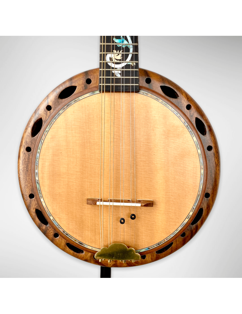 Banjo Luthart BJ5 con plato 100% en madera