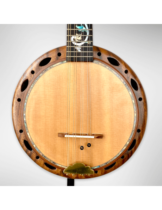 Banjo Luthart BJ5 con plato 100% en madera
