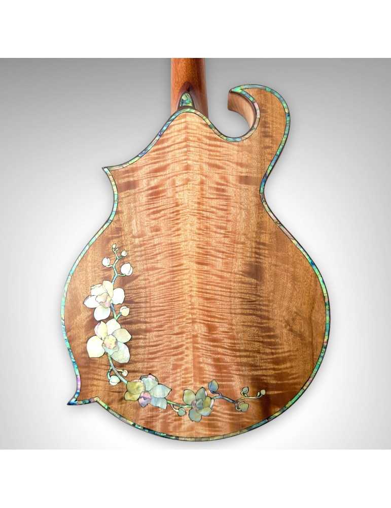 Mandolina Luthart F4 - Diseño con Perla de Nácar