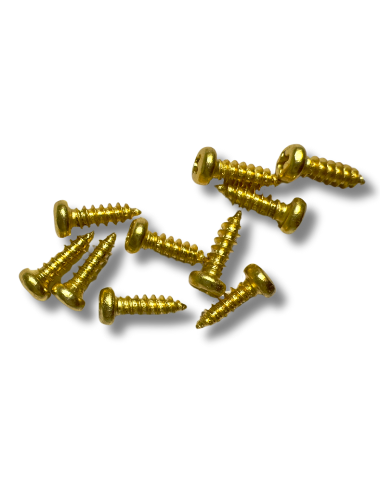 10 Tornillos Dorados para Clavijero o Tira Cuerdas