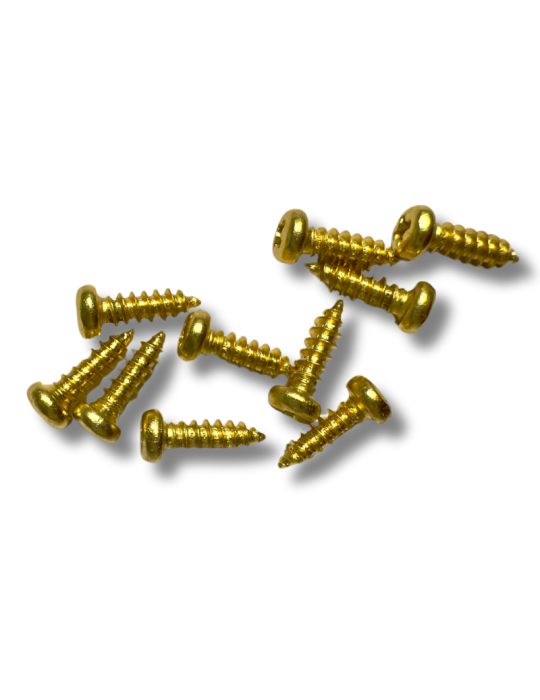 10 Tornillos Dorados para Clavijero o Tira Cuerdas