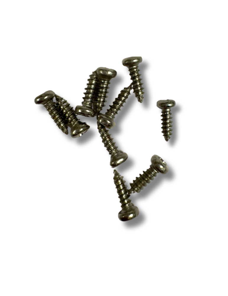 10 Tornillos Plateados para Clavijeros de Instrumentos