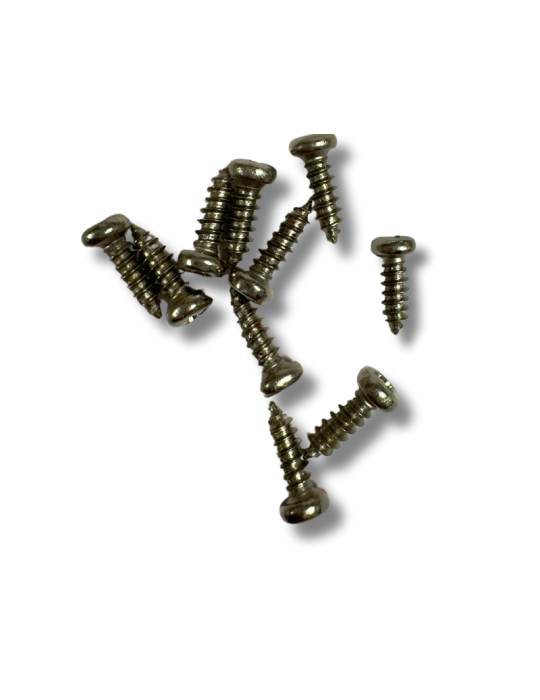 10 Tornillos Plateados para Clavijeros de Instrumentos