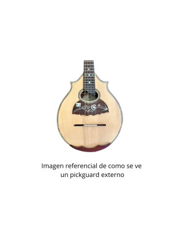 Pickguard Externo Perla para Mandolina 2