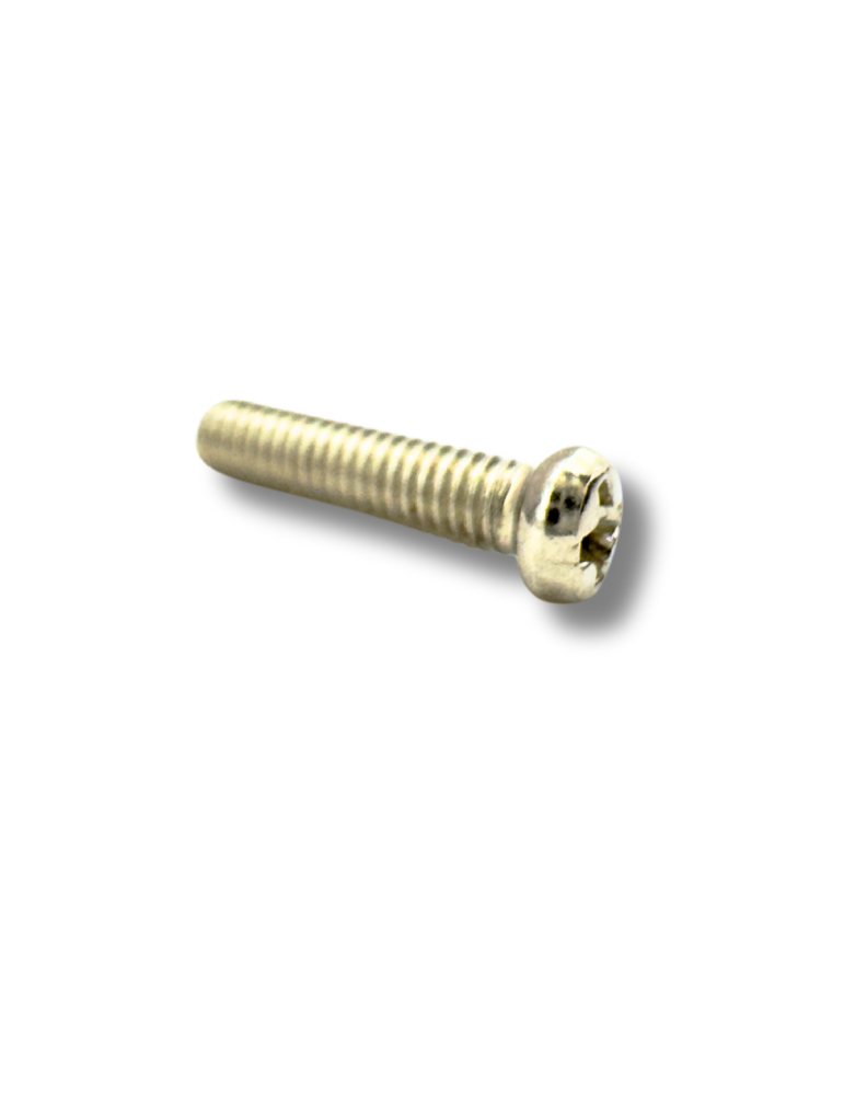 Tornillo plateado para clavija Luthart - 1 unidad