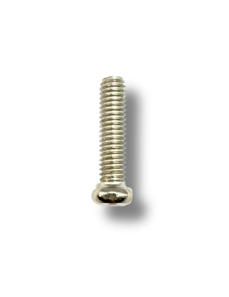 Tornillo plateado para clavija Luthart - 1 unidad