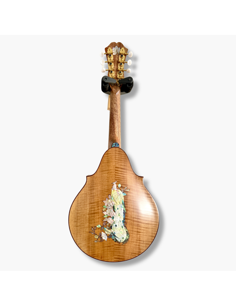 Mandolina Luthart modelo AR 8c AR180226