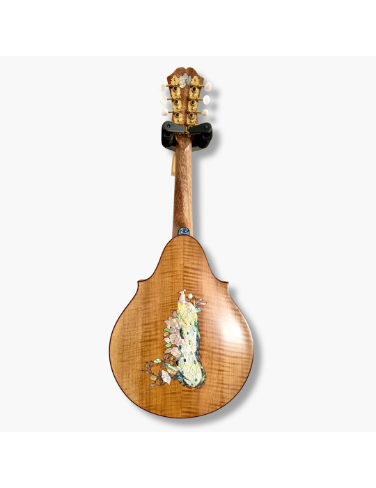 Mandolina Luthart modelo AR 8c AR180226