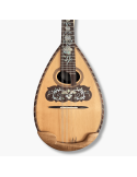 Sistema Inalámbrico Recargable (Mandolina, Guitarra, Bajo)