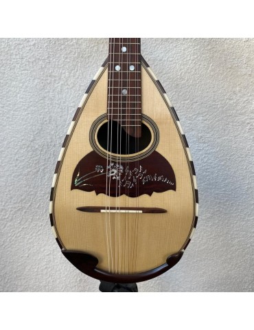 Mandolina modelo Italiano Black Rosewood / Spruce [No inc. Maleta]