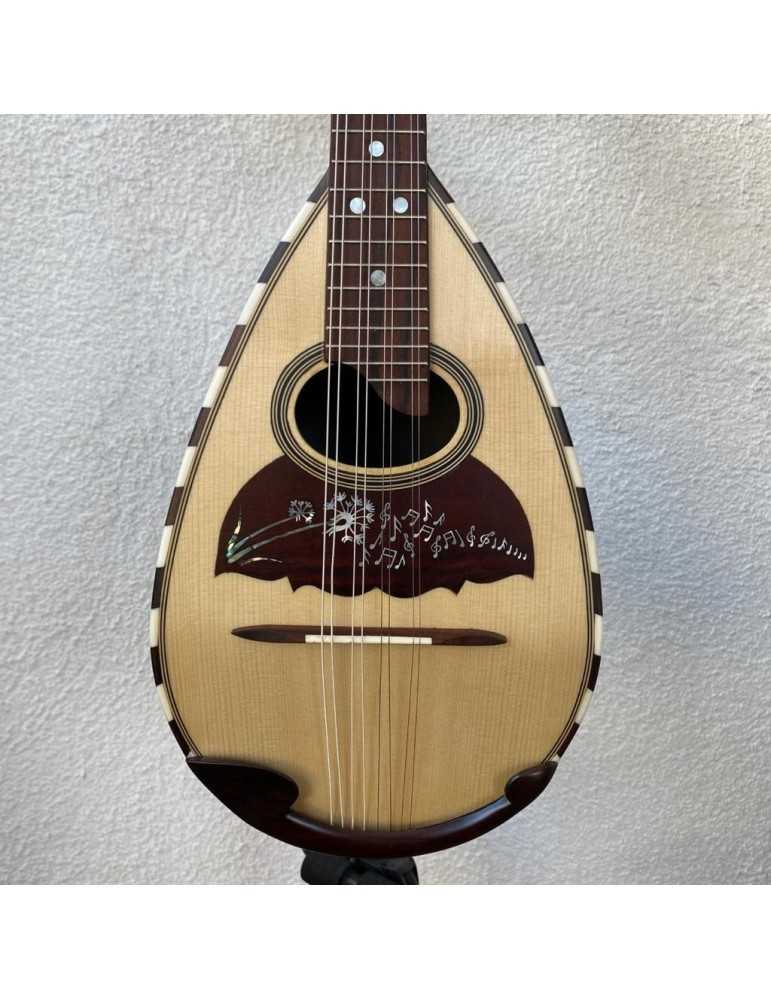 Mandolina Napolitana Luthart en Black Rosewood