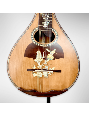Mandolina Modelo AH-240522 con 8 cuerdas 2