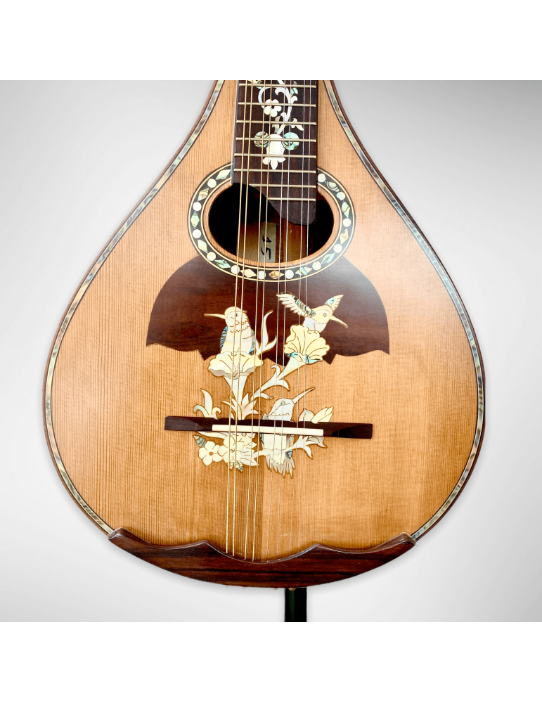 Mandolina Modelo AH-240522 con 8 cuerdas