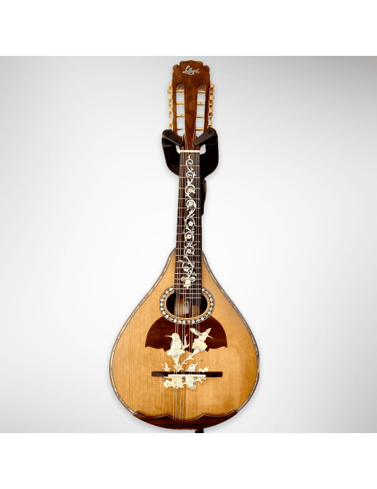 Mandolina Modelo AH-240522 con 8 cuerdas