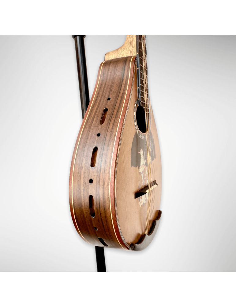 Mandolina Modelo AH-240522 con 8 cuerdas