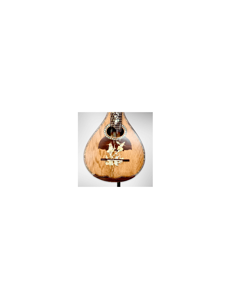 Mandolina Modelo AH-240522 con 8 cuerdas