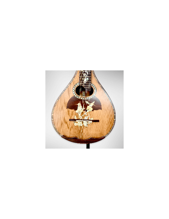 Mandolina Modelo AH-240522 con 8 cuerdas