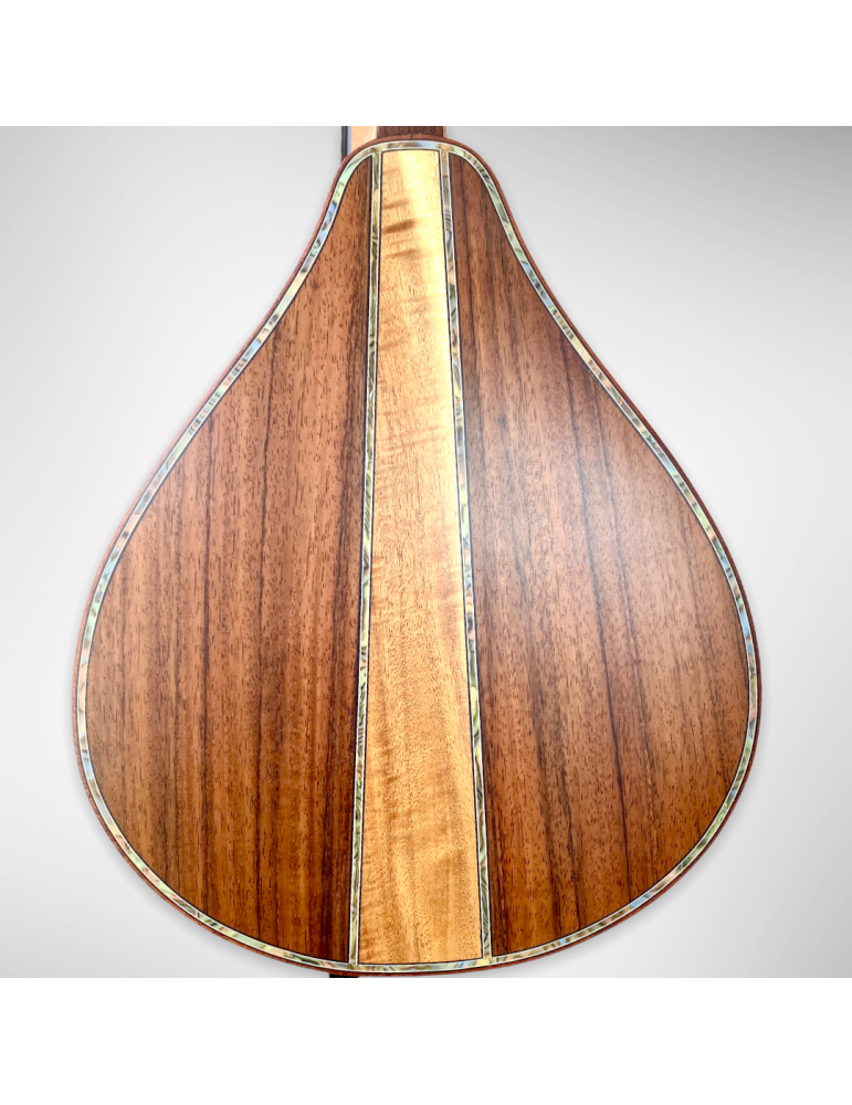 Mandolina Modelo AH-240522 con 8 cuerdas